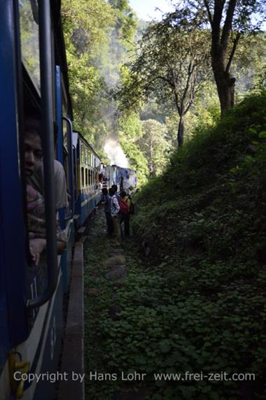 Nilgiri-Blue-Mountain-Train, Mettupalayam - Coonoor_DSC5380_H600